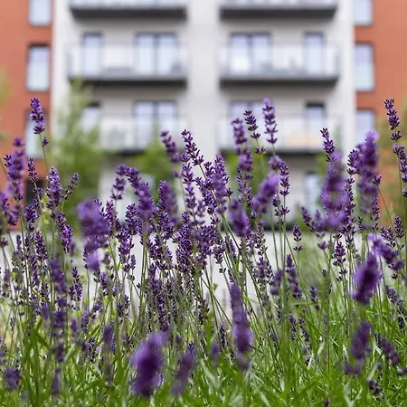 Lokum Salsa With Balcony & Parking Cracow By Renters * Kraków